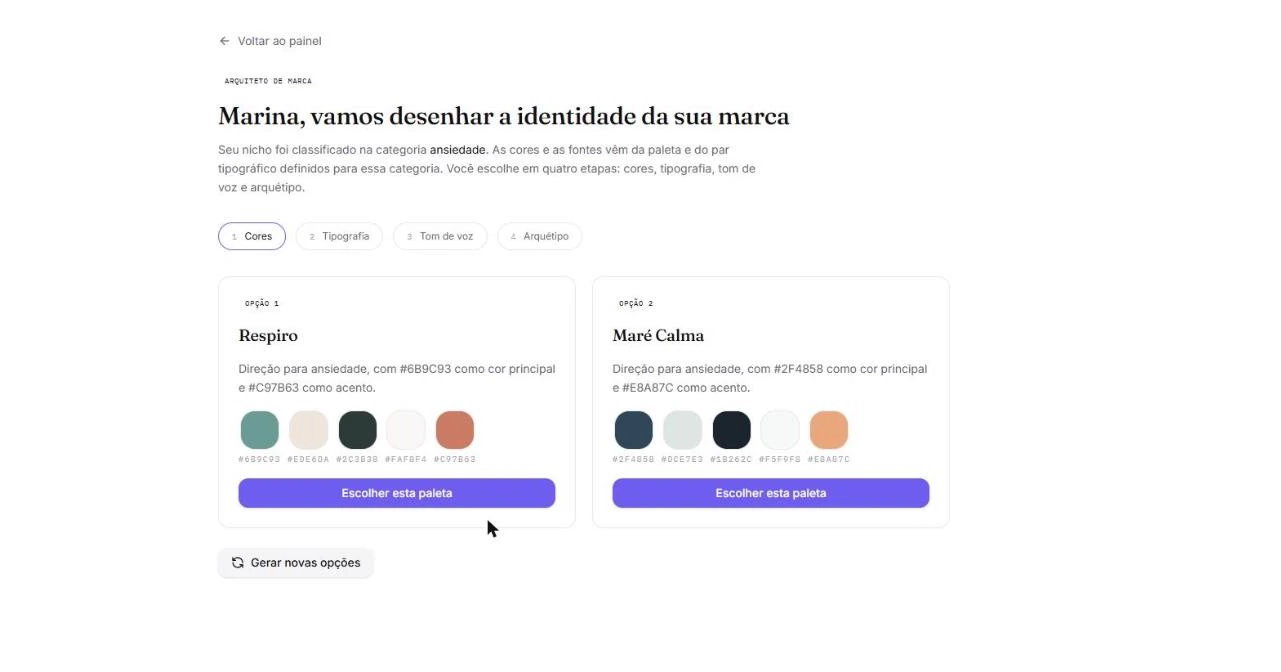 Duas paletas de cores geradas, com amostras e códigos hexadecimais.