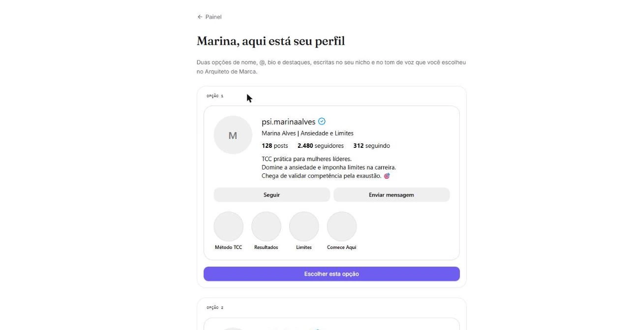 Prévia de perfil do Instagram com bio e destaques.